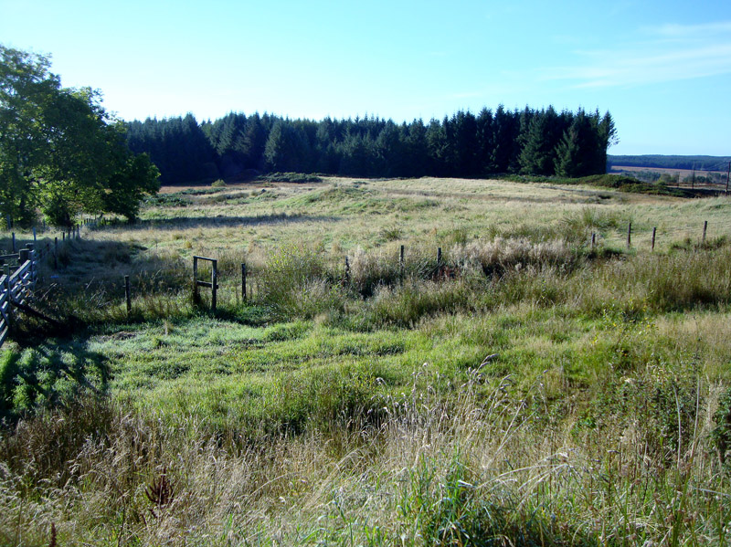 For Sale BEOCH FARM Newton Stewart, Dumfries & Galloway, DG8 6RT