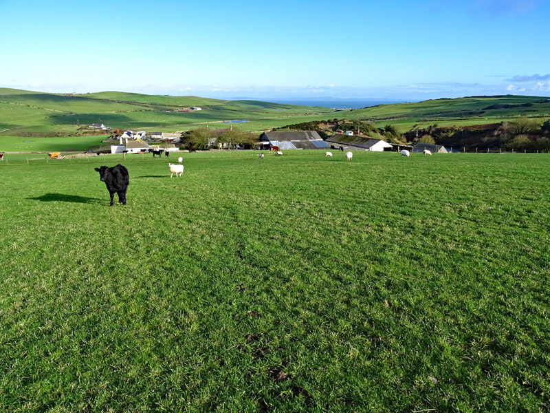 For Sale SEVERAL FARM Drummore, Stranraer, Wigtownshire, DG9 9QW