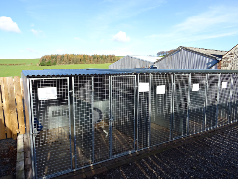 For Sale DAMHEAD FARMHOUSE & KENNELS Damhead Farmhouse, Tinwald