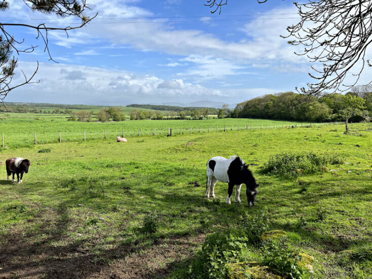 For Sale CULTS FARMHOUSE Whithorn, Newton Stewart, DG8 8HA