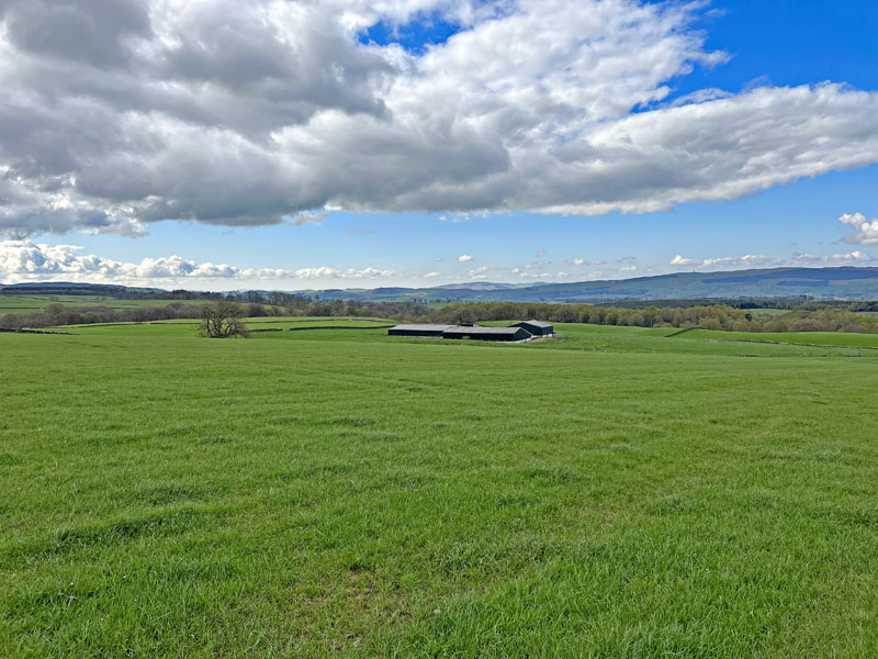 For Sale LINNSIDE FARM Gatelawbridge,Thornhill, Dumfries, DG3 5EA