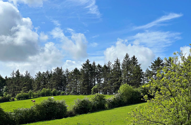 For Sale CALSIDE FARM Craigs Road, Dumfries, DG1 4QJ