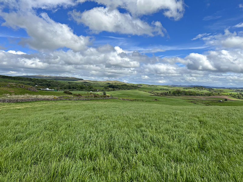 For Sale TROLANE FARM Dalry, Castle Douglas, DG7 3XF