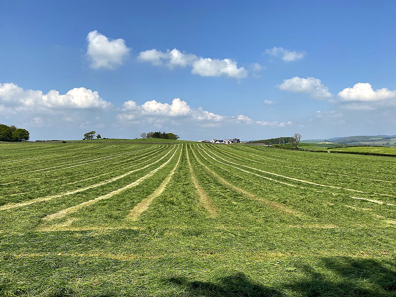 For Sale TORKATRINE FARM Dalbeattie, DG5 4NQ