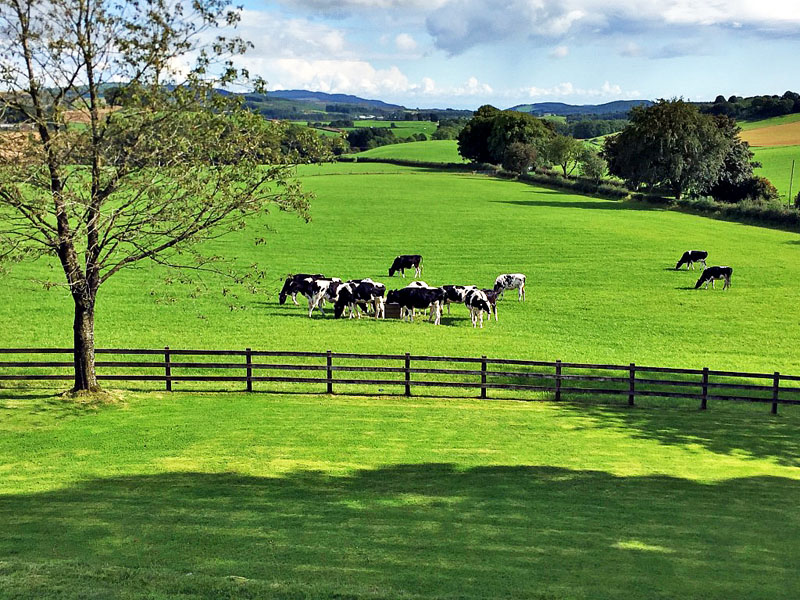 For Sale TORKATRINE FARM Dalbeattie, DG5 4NQ