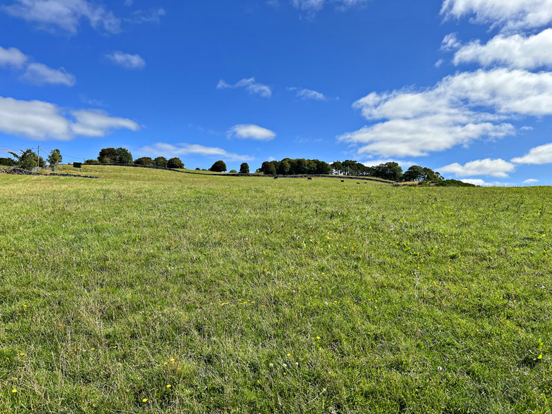 For Sale LAND AT DUNREGGAN BRAE Moniave, Thornhill, Dumfries, DG3 4HJ