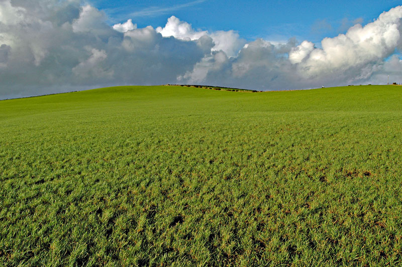 For Sale LAND AT KNOWES FARM Drummore, Stranraer, DG9 9HL