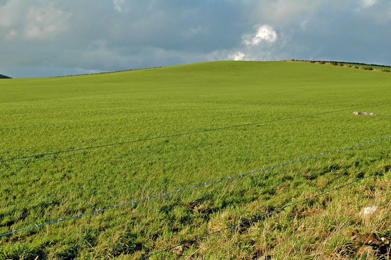 For Sale LAND AT KNOWES FARM Drummore, Stranraer, DG9 9HL