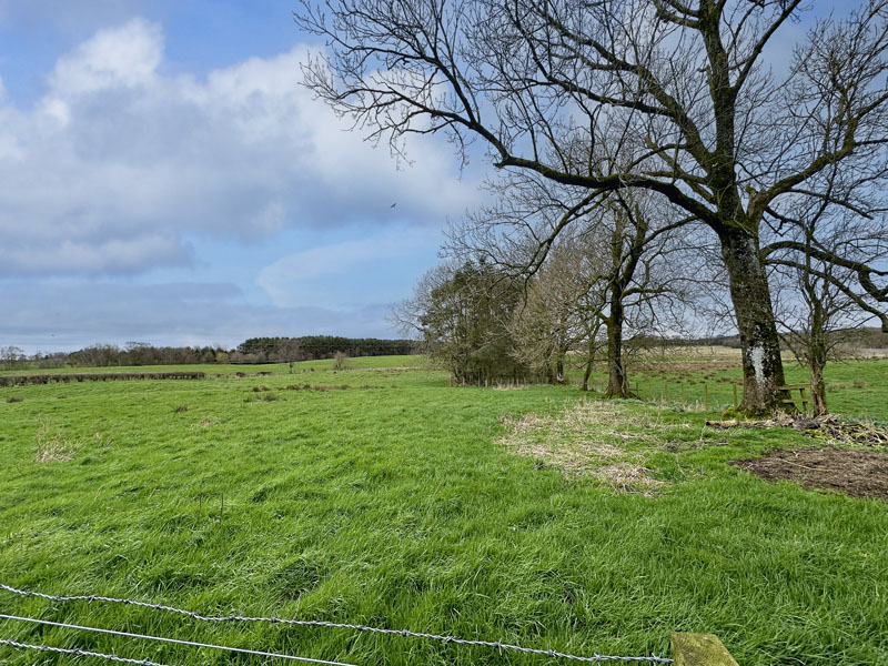 For Sale WHEATYARDS Torthorwald, Dumfries, DG1 3QE